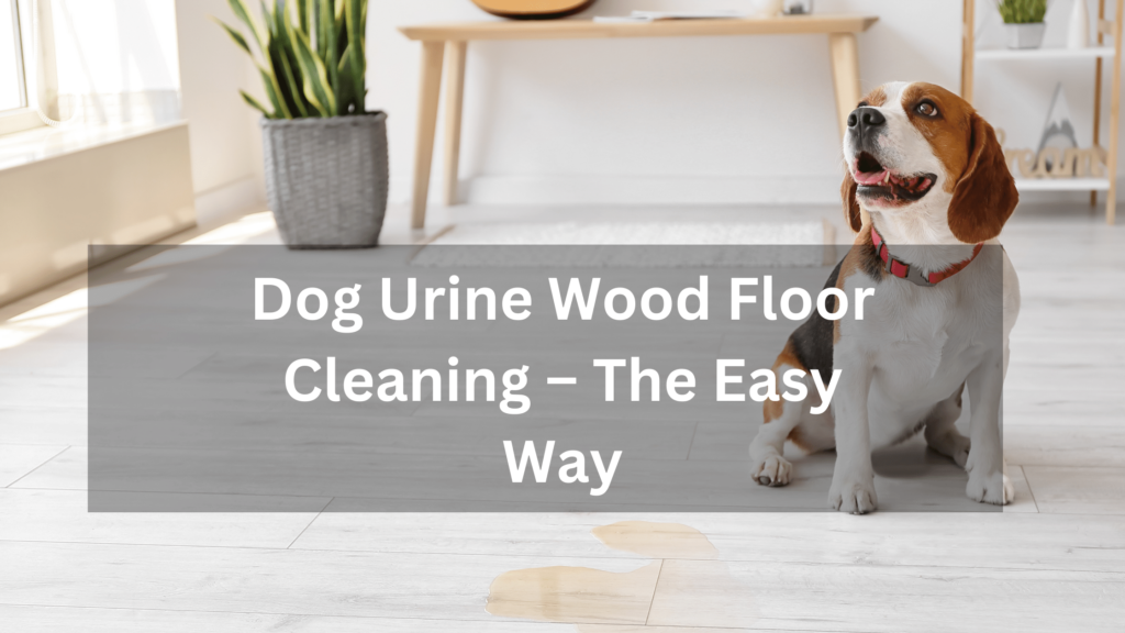 Dog Urine Wood Floor Cleaning – The Easy Way